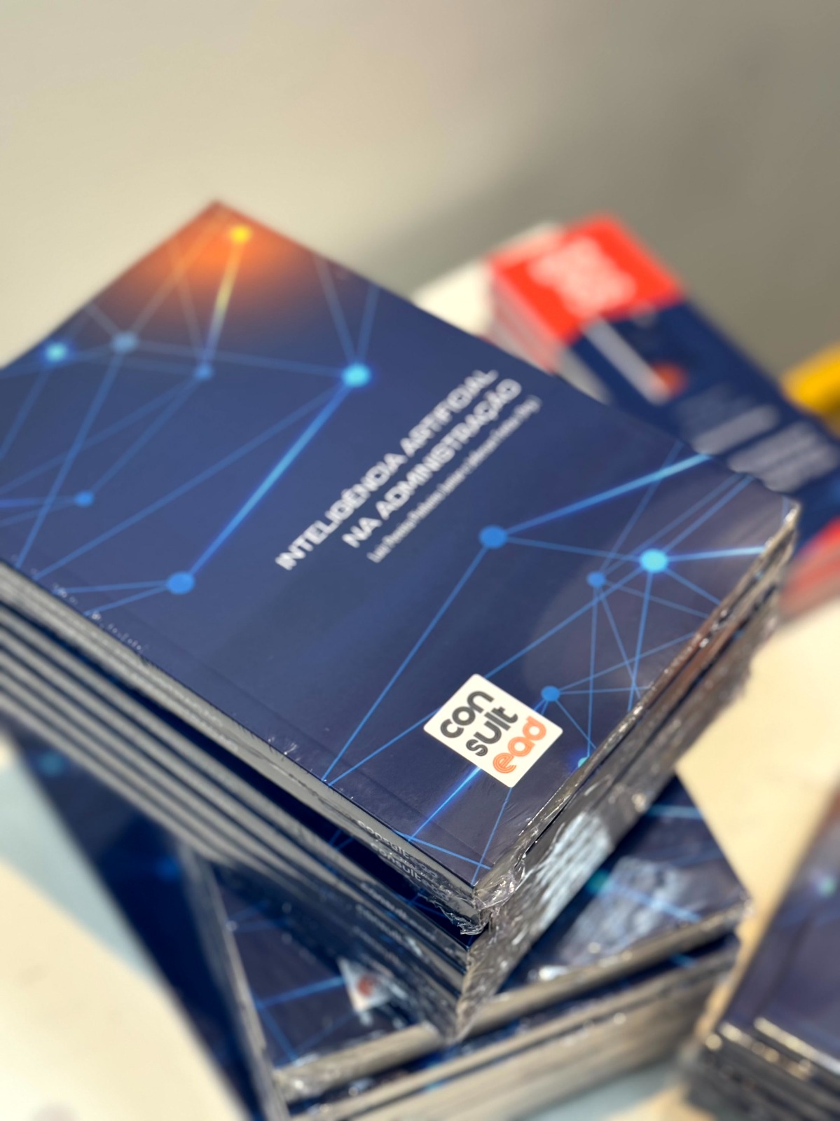 Publicação Consultead